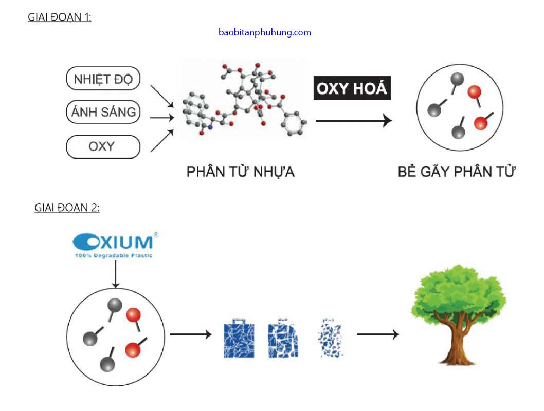 túi nhựa tự huỷ