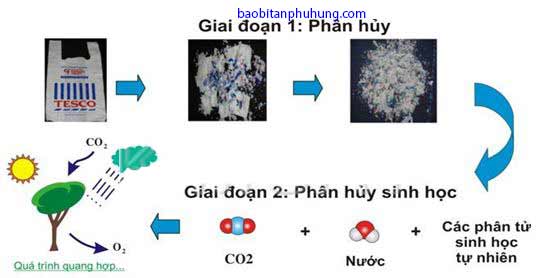 túi xốp tự huỷ sinh học